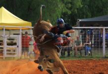 Red dust and rodeo