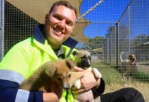 Fees set for animal shelter