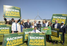 Taking beef to Parliament