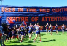 Dees to return in 2025