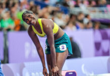 Blacksmith awarded national honour