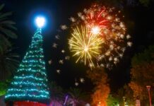 Christmas lights up in Alice