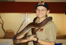 Endo nurses scholarship’s transformative potential