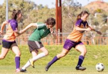 Stormbirds, Verdi, awarded grants