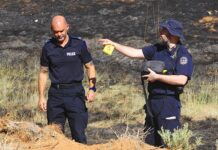 Sheds lost to arsonist