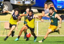 Campbell, Taylor named CAFL coaches