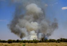 Higher fuel loads pose fire danger in CA