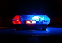 Girl charged over Larapinta robbery