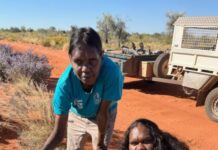 New hub for Walungurru rangers