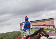 Alice Springs Cup weekend promises to be a beauty