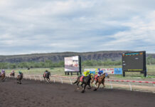 Hasseltoff stakes Cup claim