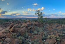 Panorama shows off Alice’s beauty