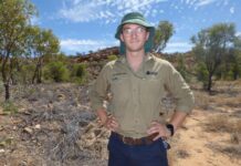 Battling Buffel