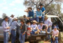Bucking good times