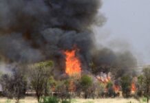 Fire app funds a must