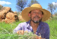 Buffel network gathers as big year awaits