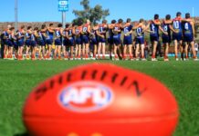 GALLERY – All the colour from Traeger Park