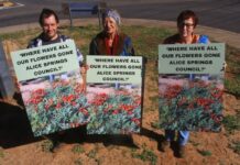 Green light for green thumb accolade