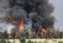 UPDATED: Fire ban from midnight for Central Australia and Barkly