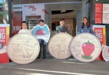 Big Things coin collection