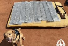 Cops blacken festivalgoers fun