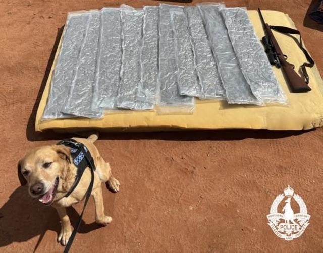 Cops blacken festivalgoers fun