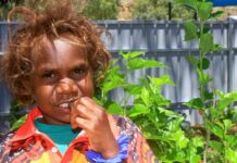 Yippy kids give peas a chance