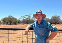 Artificial insemination boost for cattle