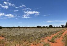 Ti Tree Farm up for grabs