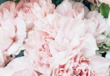 What to do in December