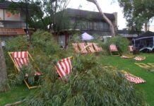 Christmas Grinch almost ruins street party