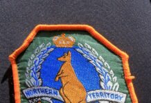 UPDATED: Three cars stolen, cops rammed in crime spree