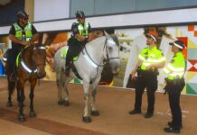 Operation Ludlow II launched