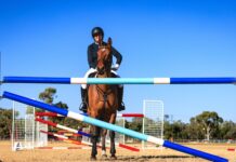 Equestrian champ hails from the desert