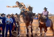 Cowboys crunched at Carrieton