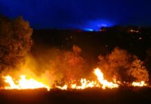 Fire ban period extended across Central Australia