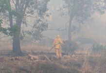Alice firies lend a hand in Victoria