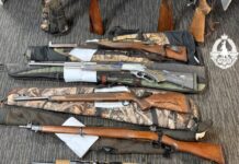 Over 1700 rounds of ammo, guns seized after routine stop