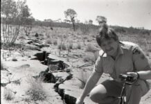 Shaky end to the year