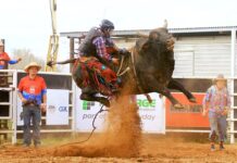 No Bull. Phil’s the best