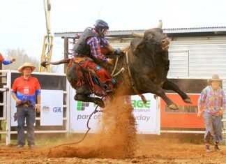 No Bull. Phil’s the best