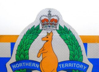 Pedestrian hit, Unlicensed learner driver arrested.