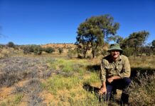 Ground zero for buffel