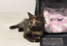 Going the extra mile for Tilly