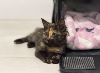 Going the extra mile for Tilly