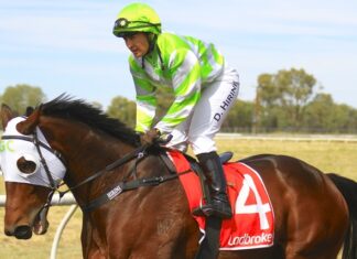 Big names and big crowds for carnival