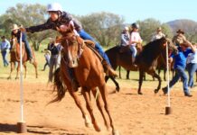 No horsing around at gymkhana