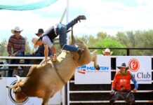 Bruising day at Aileron