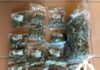 Dope, cash seized in drug raid