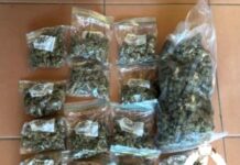 Dope, cash seized in drug raid